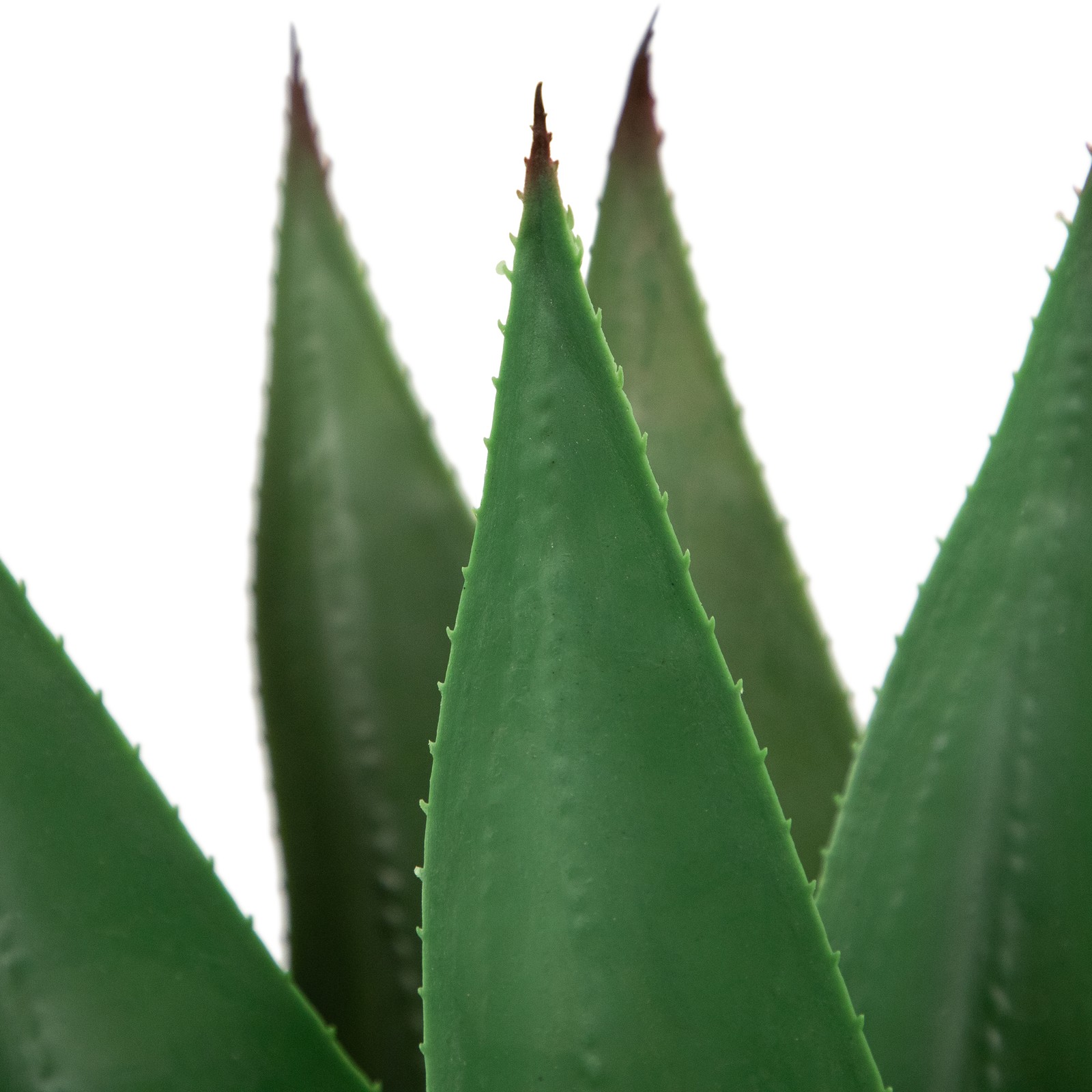 Northlight 23.5″ Potted Green Agave Americana Artificial Succulent Plant