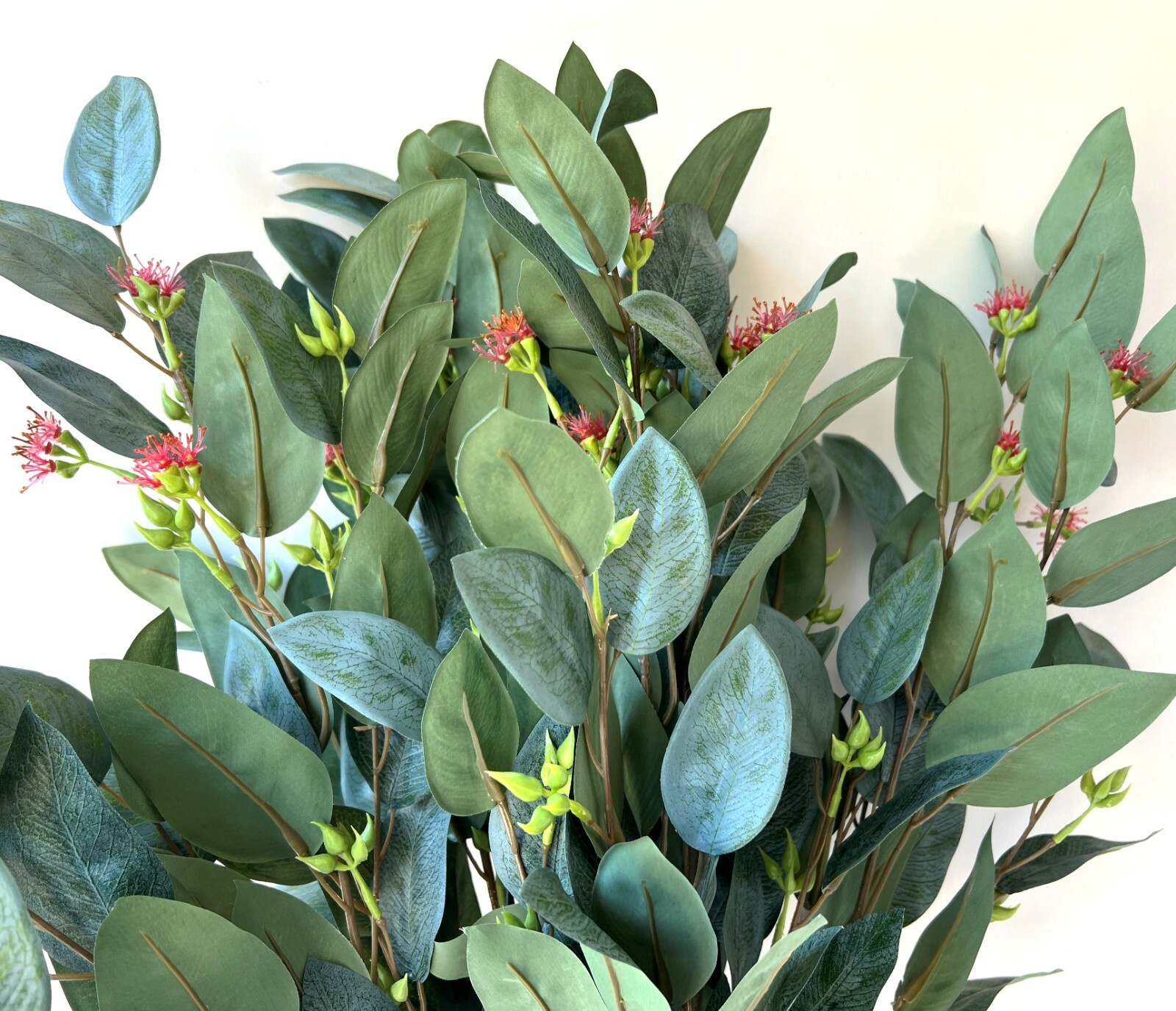 Australian Native Flowers Eucalyptus Blossom Greenery Stem Latex leaf Foliage x1