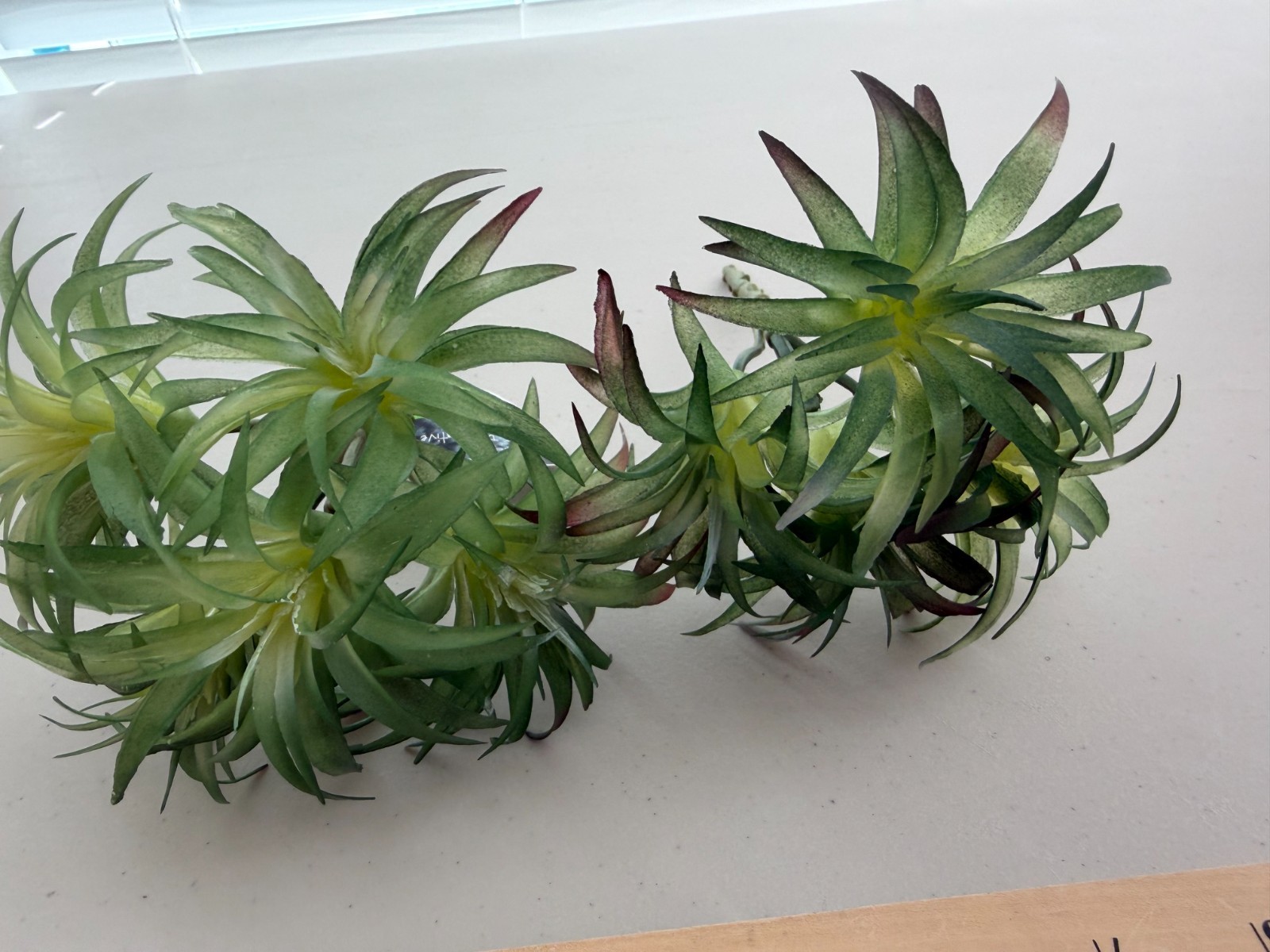 Lot 2 Ashland Faux Tillandsia Succulent Plants tropical picks Cactus (Sh17)
