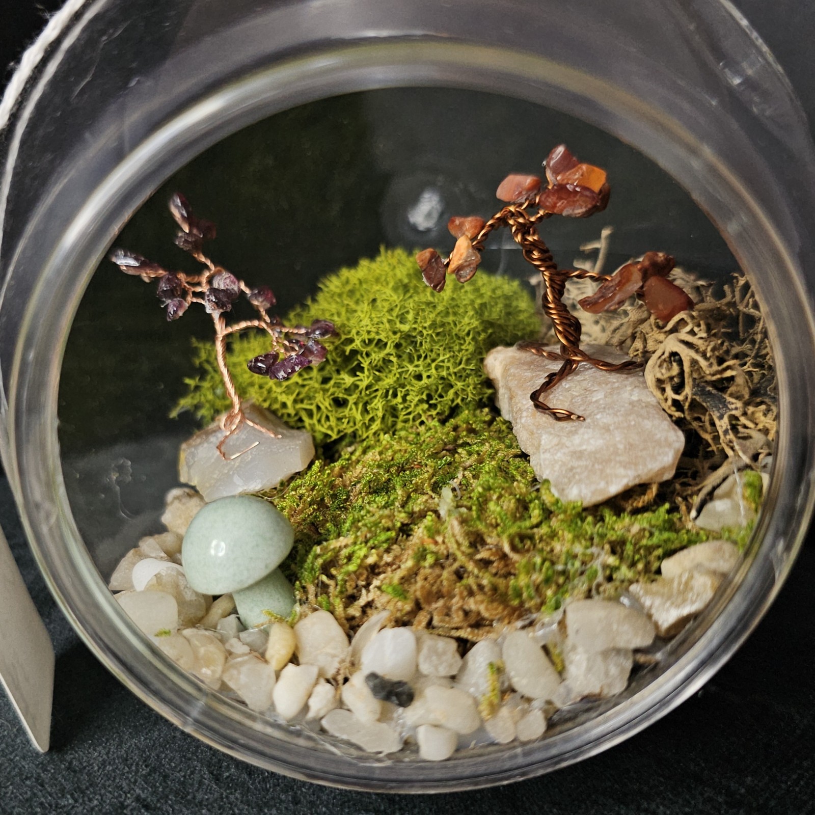 Hanging Plastic Orb Moss Terrarium w/ Decorative Stones Indoor