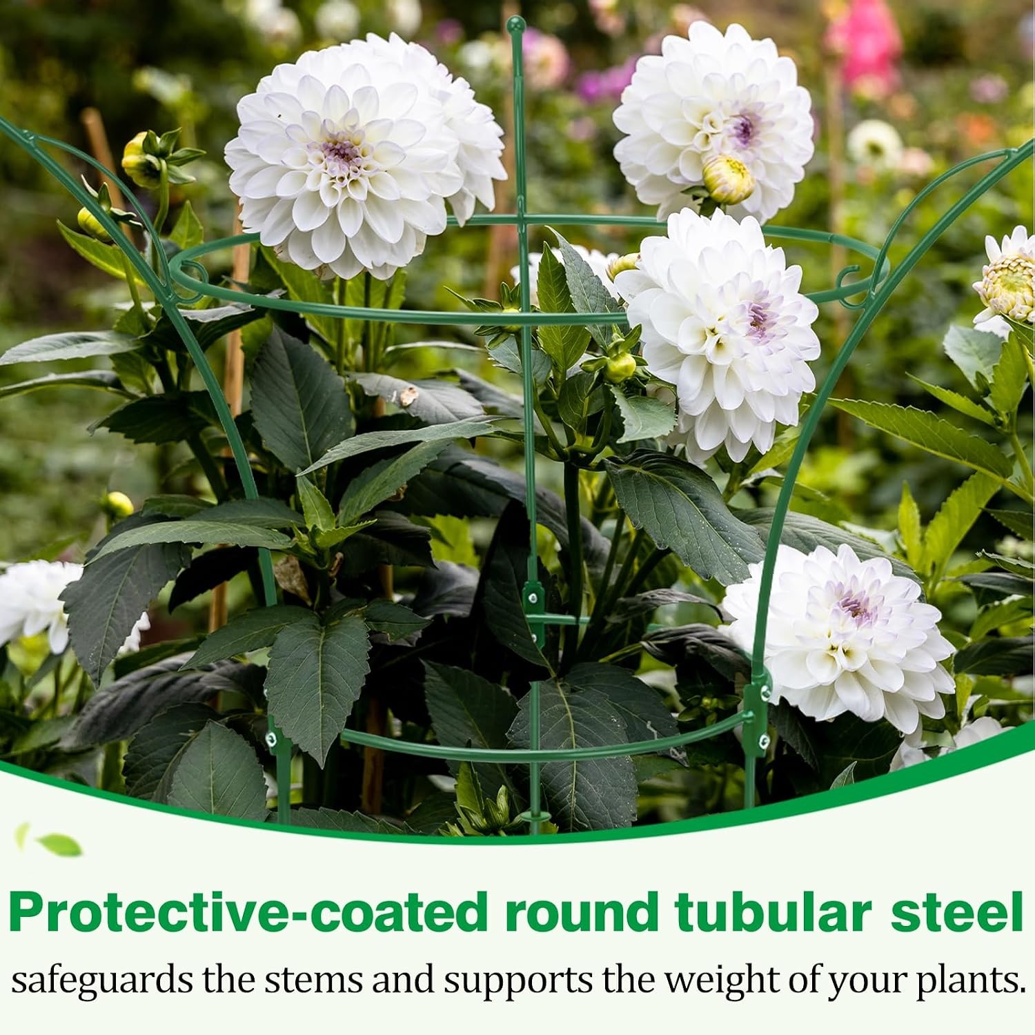 6 Pack Peony Cages & Supports Cages 13″ D x 22.8″ H Heavy Duty Metal Support