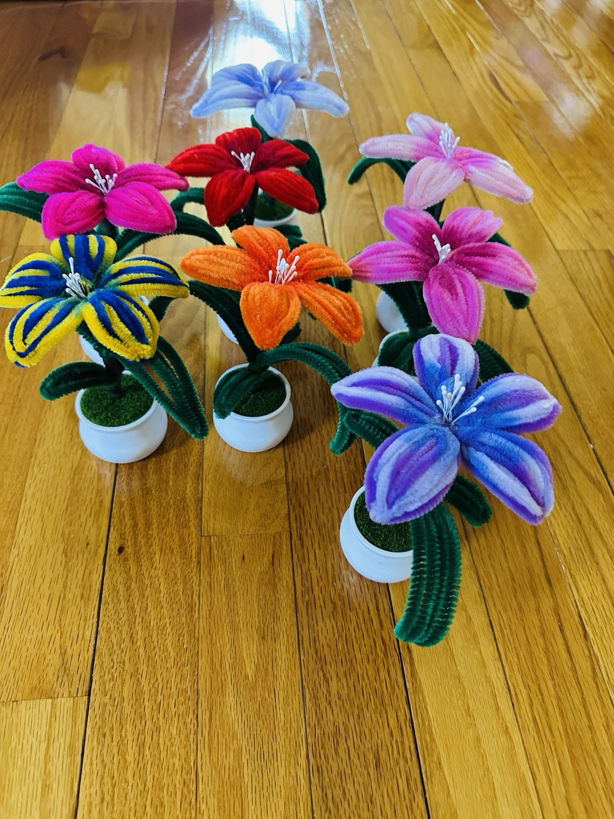 Fuzzy Flower In A Small Pot , All Colors Available ,