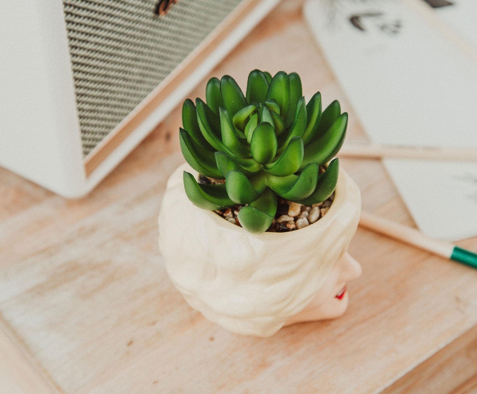 Toynk The Golden Girls Rose 3-inch Ceramic Mini Planter with Artificial Succulen