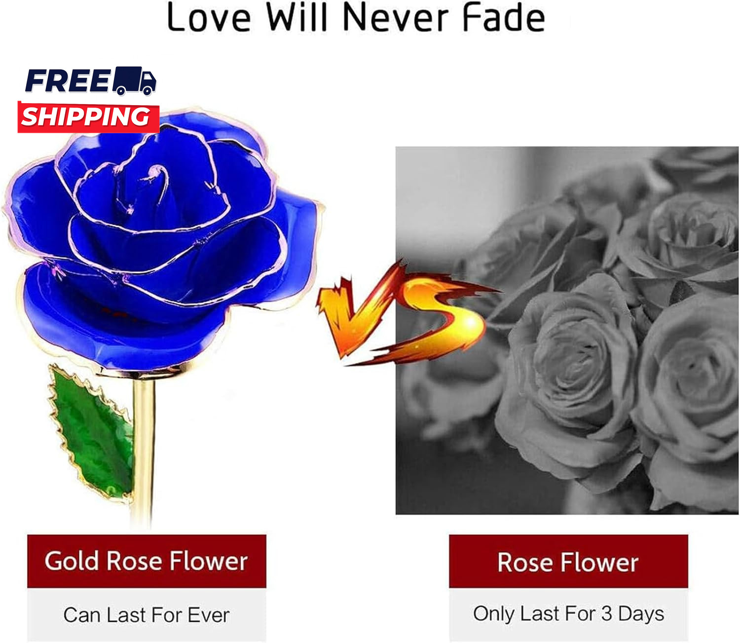 Gold Rose Real Rose Dipped in 24K Gold Preserved Rose Flower Golden Dipped Rose