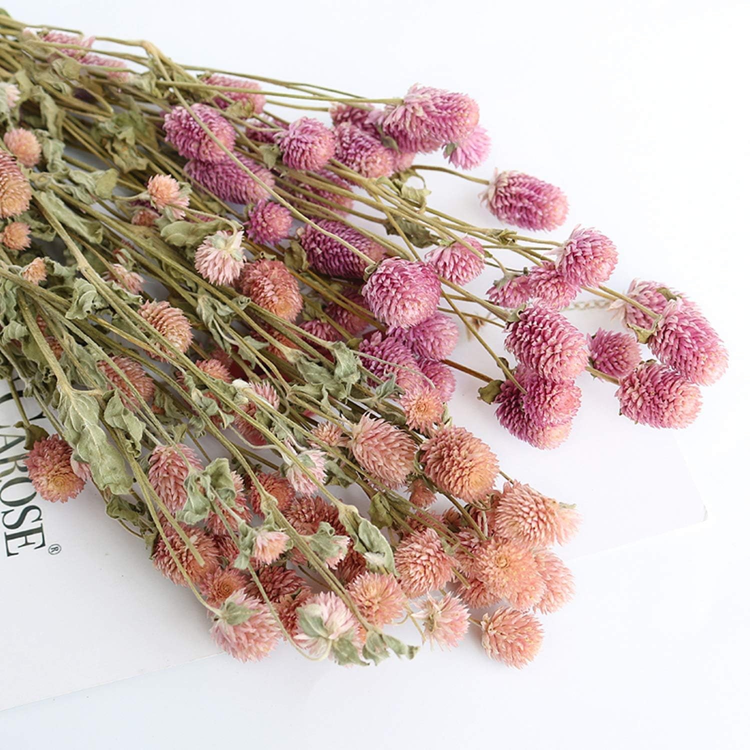 Dried Flower White Globe Amaranth Dry Flower Bundles 100% Naturally for Home …