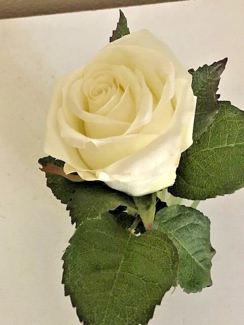 Artificial Silk White Rose Flower in Clear Vase with Faux Water