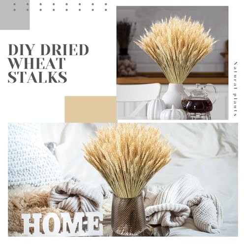 Dried Wheat Stalks Bundle – 1800 Stems Natural Grass for DIY Decor, Centerpieces