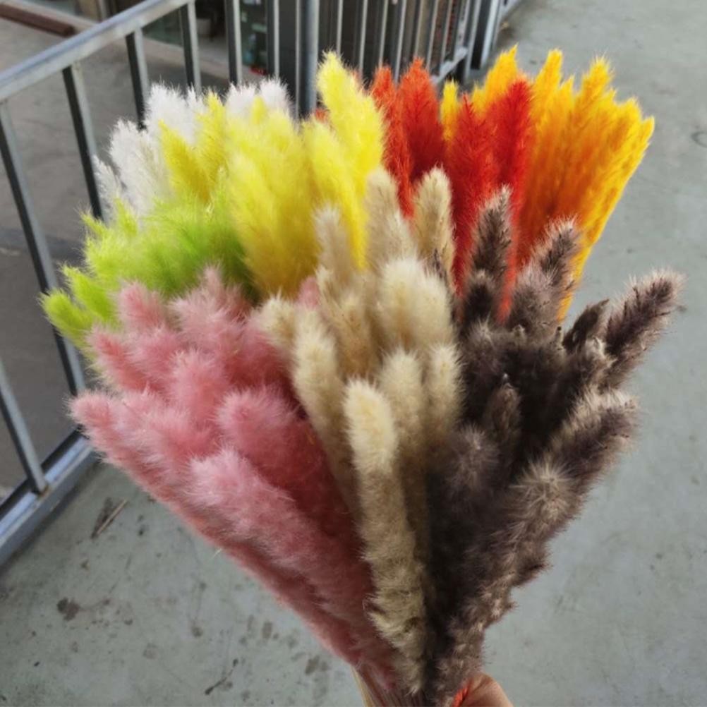 15 Natural Small Pampas Grass Photography Props For Home Decor Easy To Use