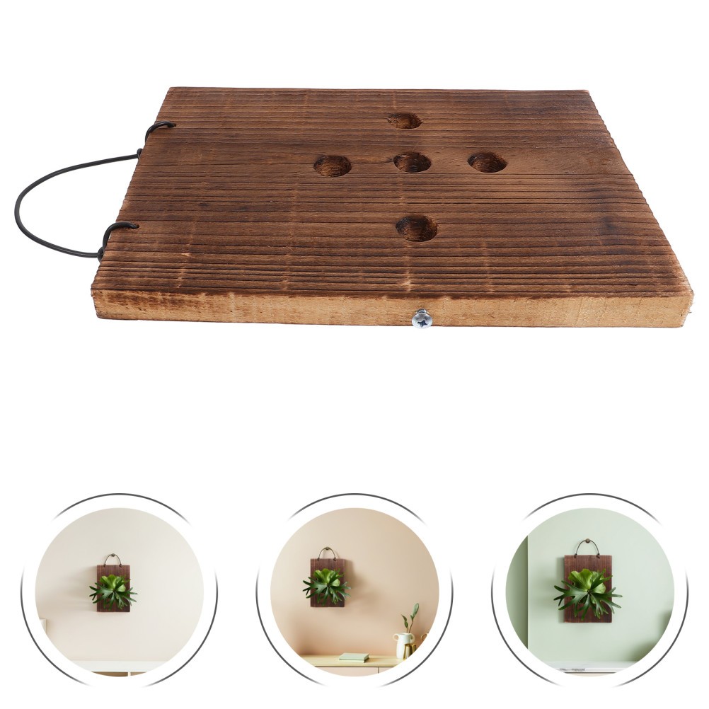 Orchid Mounting Plates: Wooden Wall Planter, Fern Wall Hanging Board,