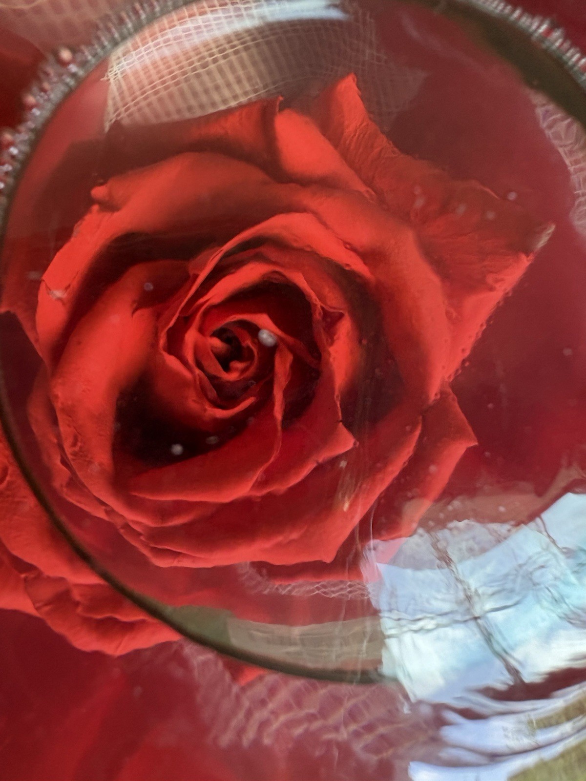 Vintage Forever Red Rose In Glass Ball Clear Water Dome Globe Large 6.5″