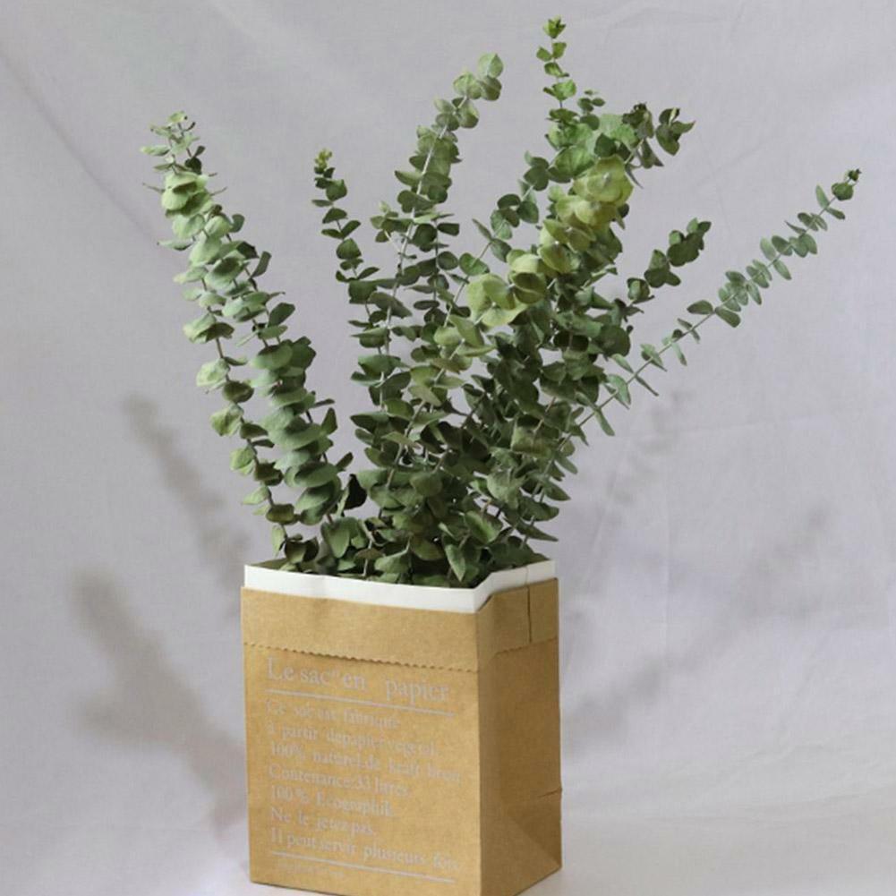 10pcs Natural Dried Flower Eucalyptus Branches Leaves Home Decors Bouquet