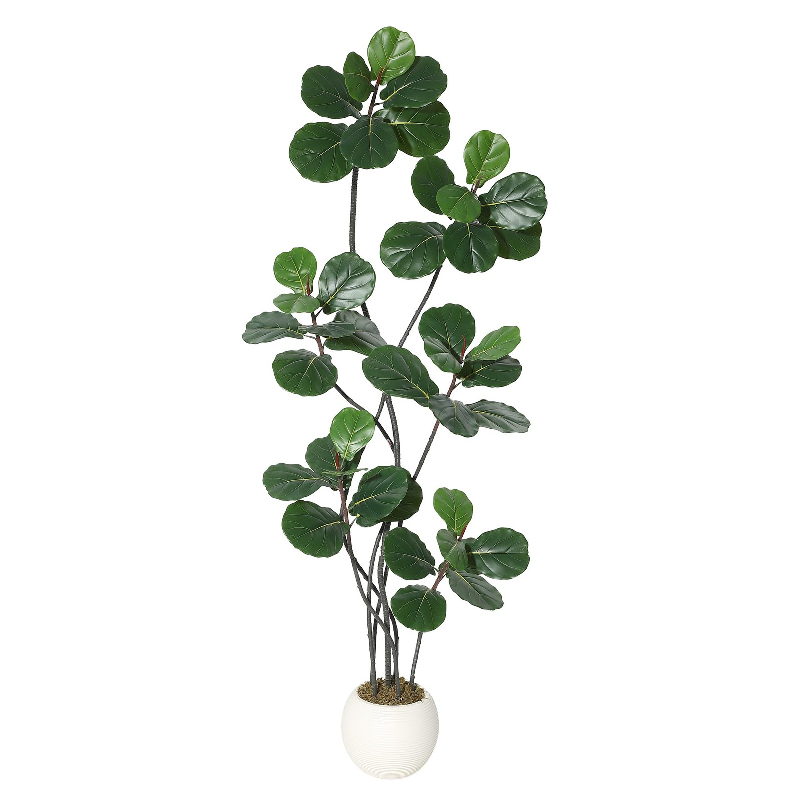 7FT Artificial Ficus Lyrata Tree, Bendable Boughs, Modern White Pot Included,…