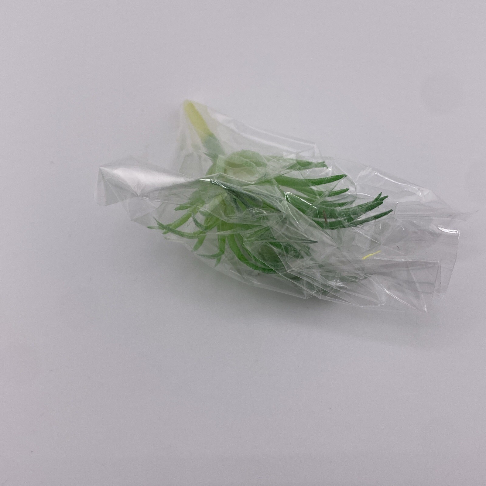 Lot Of 16 Plastic Succulents! Home Decor, Never Used! Make Great Accents! Green!