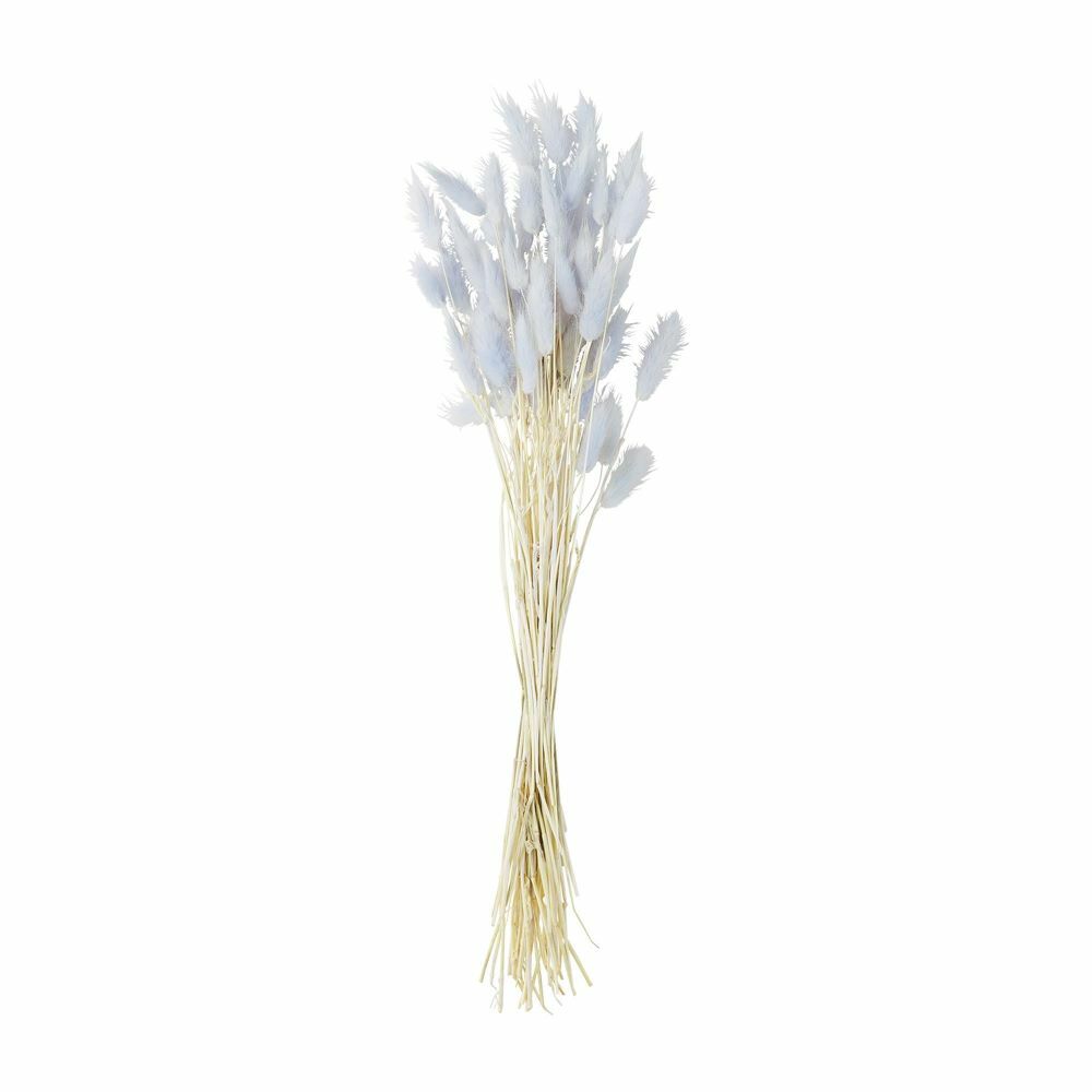 Mud Pie E3 Home Easter Décor Preserved Bunny Tail Stalks Stem 17″ 40940090 Gray
