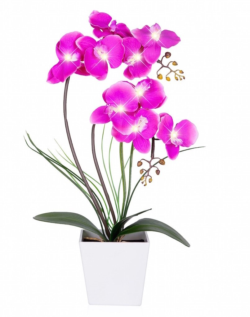 Orchid Lamp-LED Lighted Orchid Arrangements,Pre Lit Artificial Orchid,Light U…