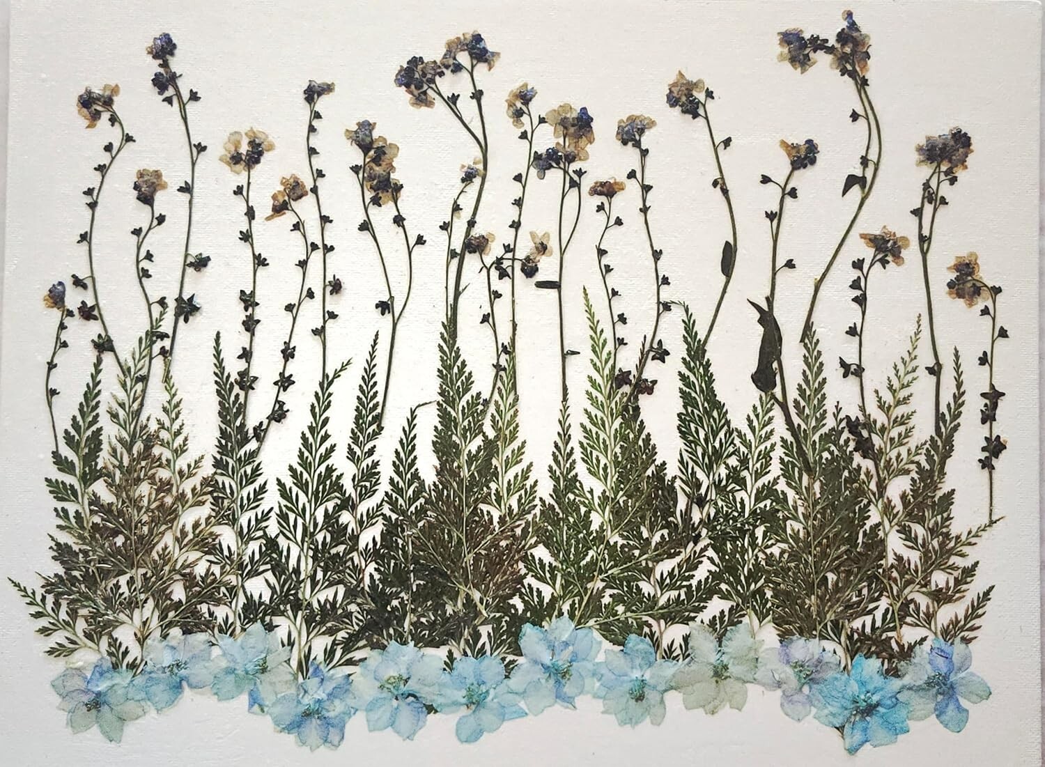 Pressed Flower Art Wall Decor, Rustic Wood Frame,forget me not,larkspur and Fern