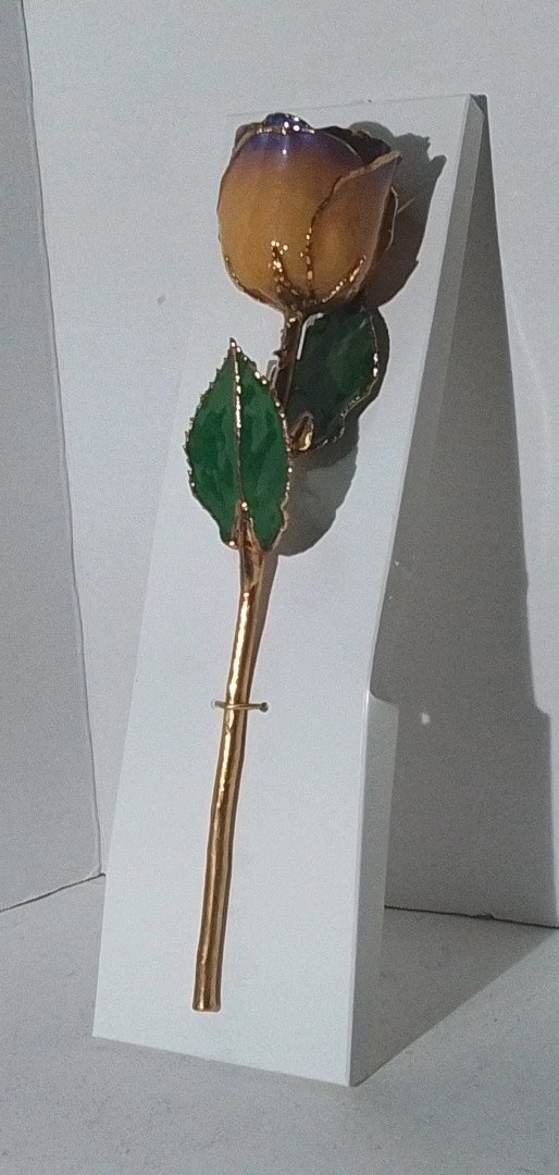 Real Rose Preserved In 24K Gold – Yellow w/Violet Tip