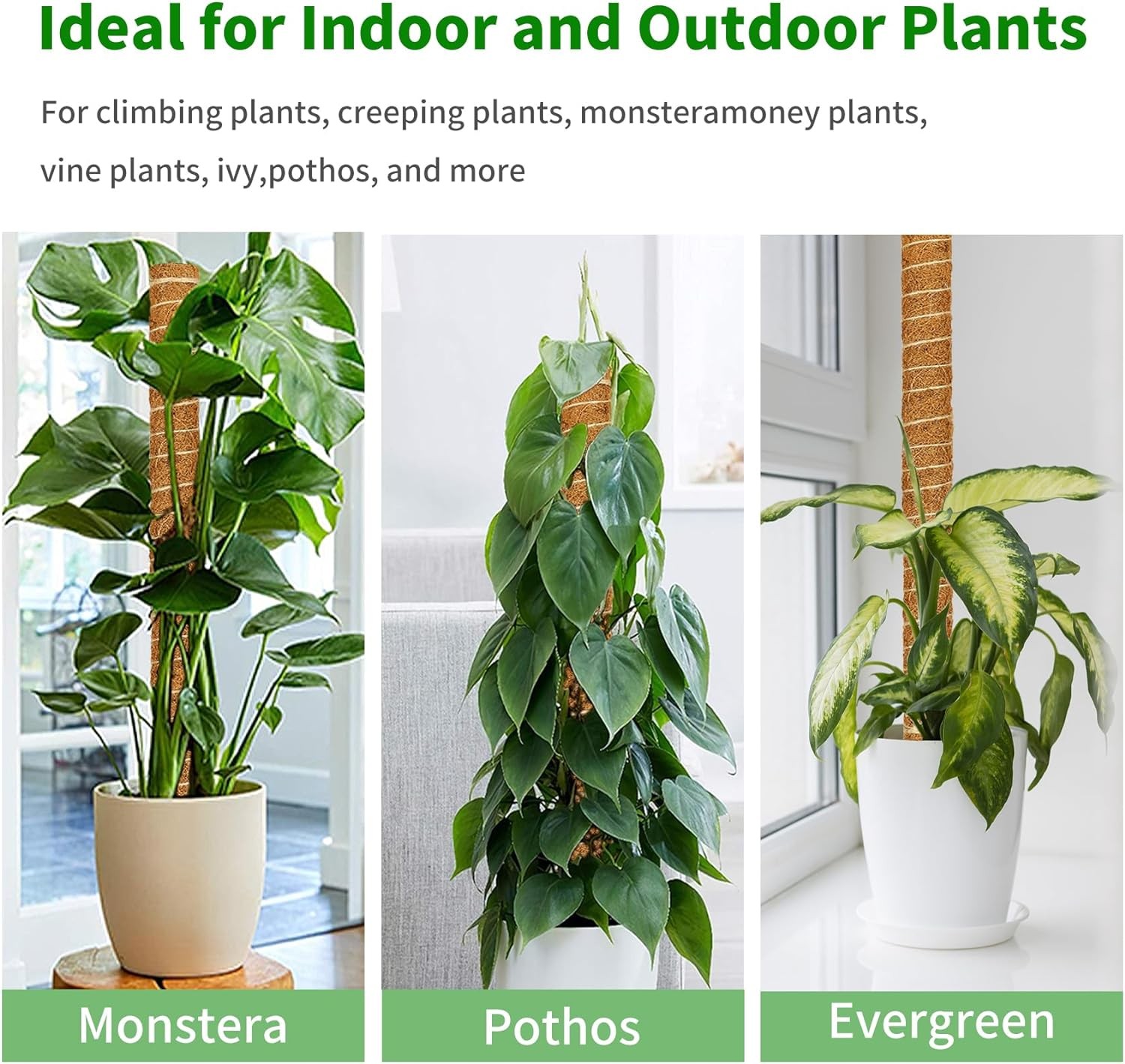Moss Pole, 4 Pack 17Inch Monstera Plant Support Stackable Moss Poles for Plants,
