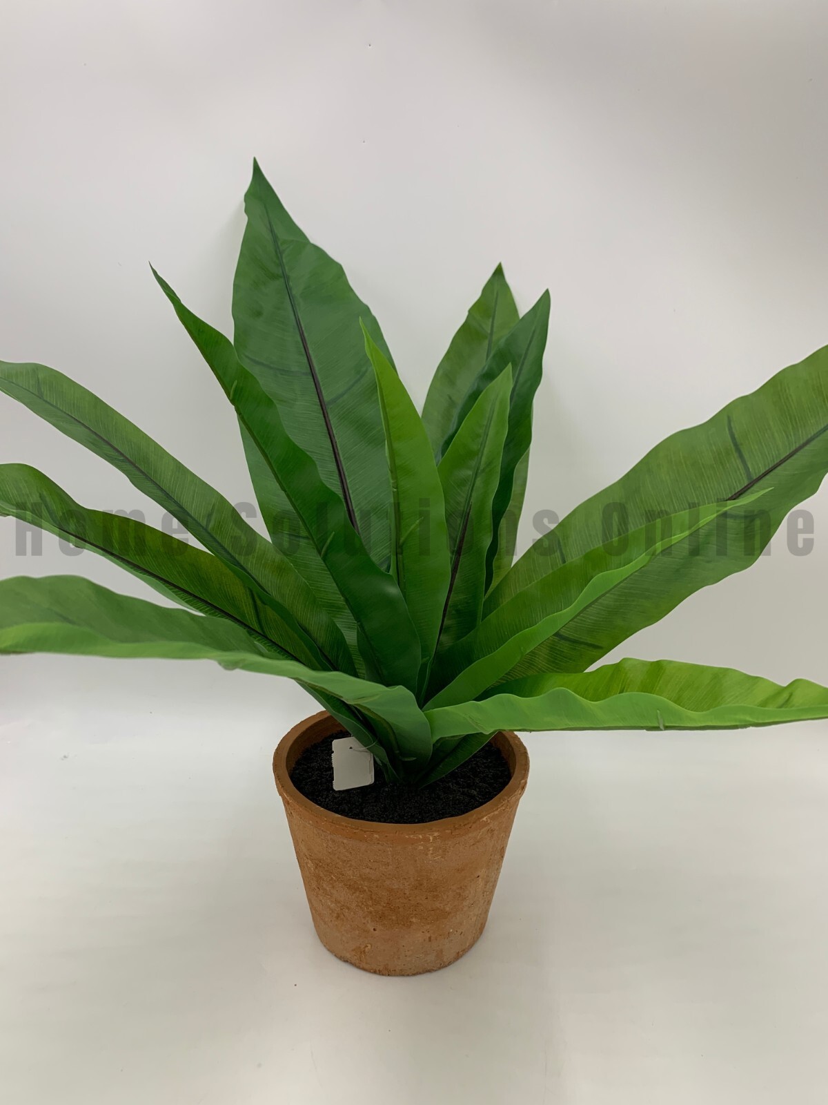 Pottery Barn Potted Terracotta Faux Fern Birds Nest Plant Large 18.5″ h #W700