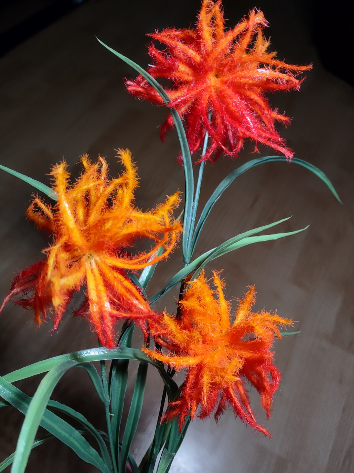 Wildflower tropical floral stem. Hawaiian Flowers. Tropical Flowers