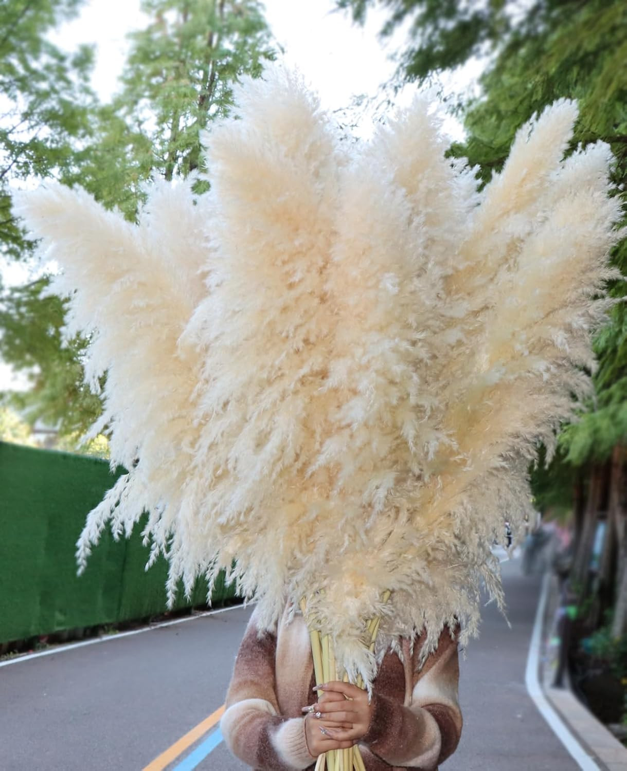 15Pcs 40”Dried Pampas Grass Decor Tall-Large Pompas Grass-Natural Beige Tall Pa