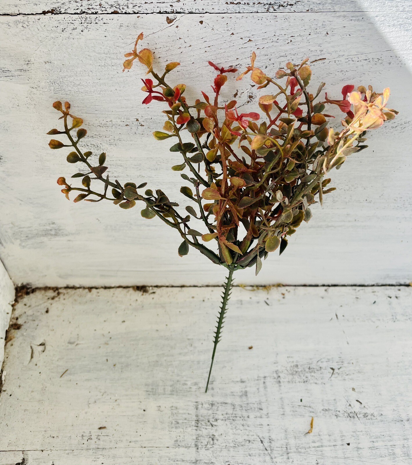 Red Baby’s Grass Pick, 9”