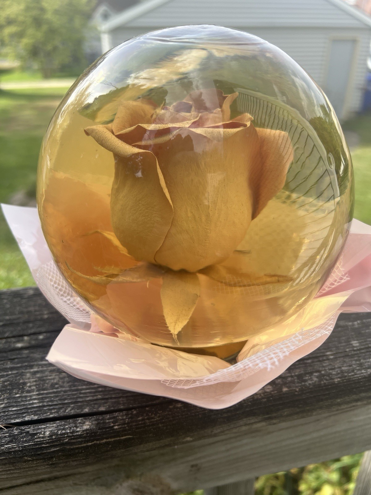 Vintage Preserved Real GOLD Rose in a Glass Water Ball Dome Globe – Large 7″