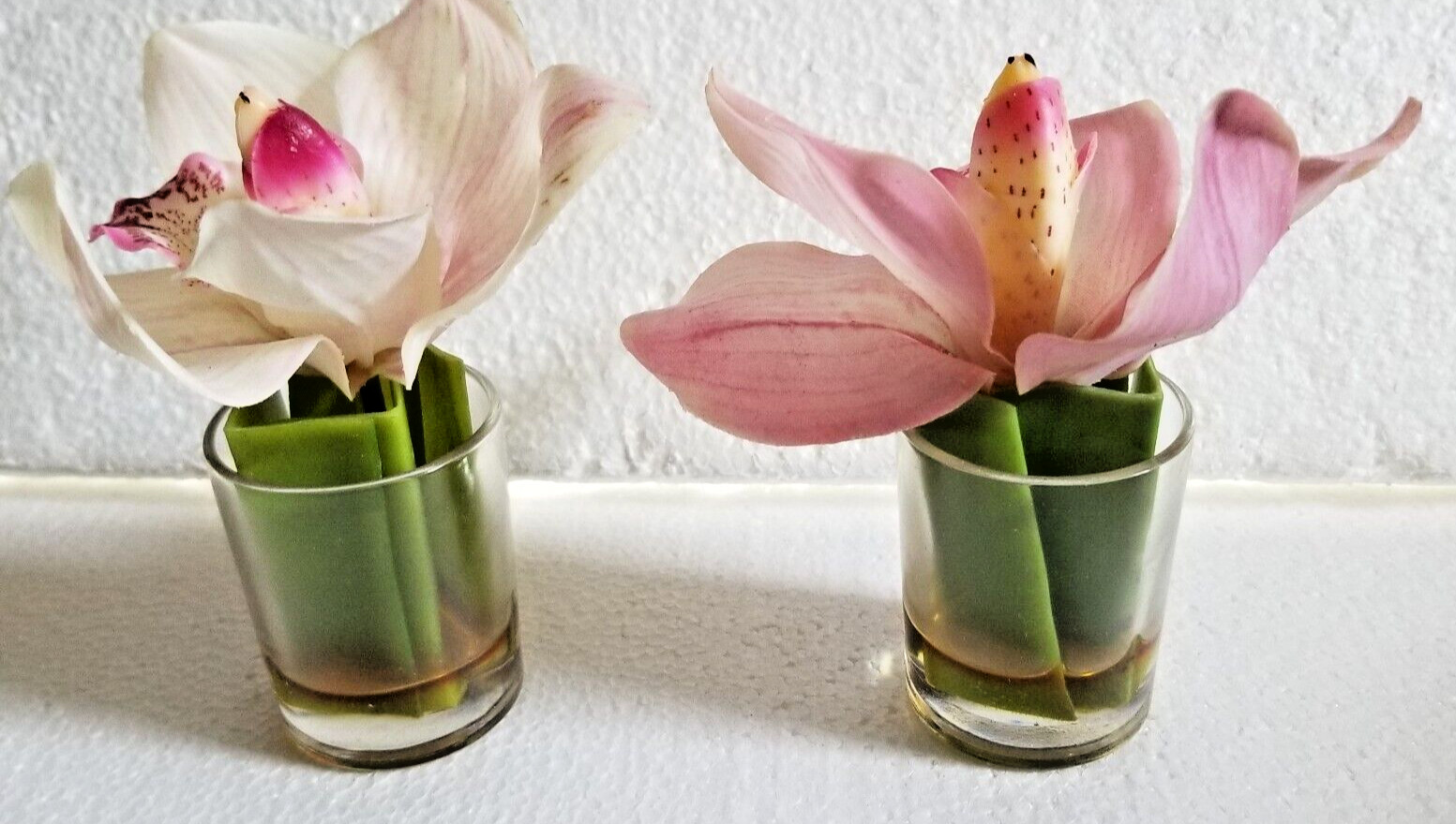 Artificial Orchids in Tea Vases Pink & White Gel Hold in Case Floral Decor