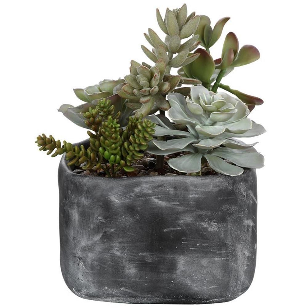 Uttermost Alverio Contemporary Plastic Iron Cement Succulents in Black/Green
