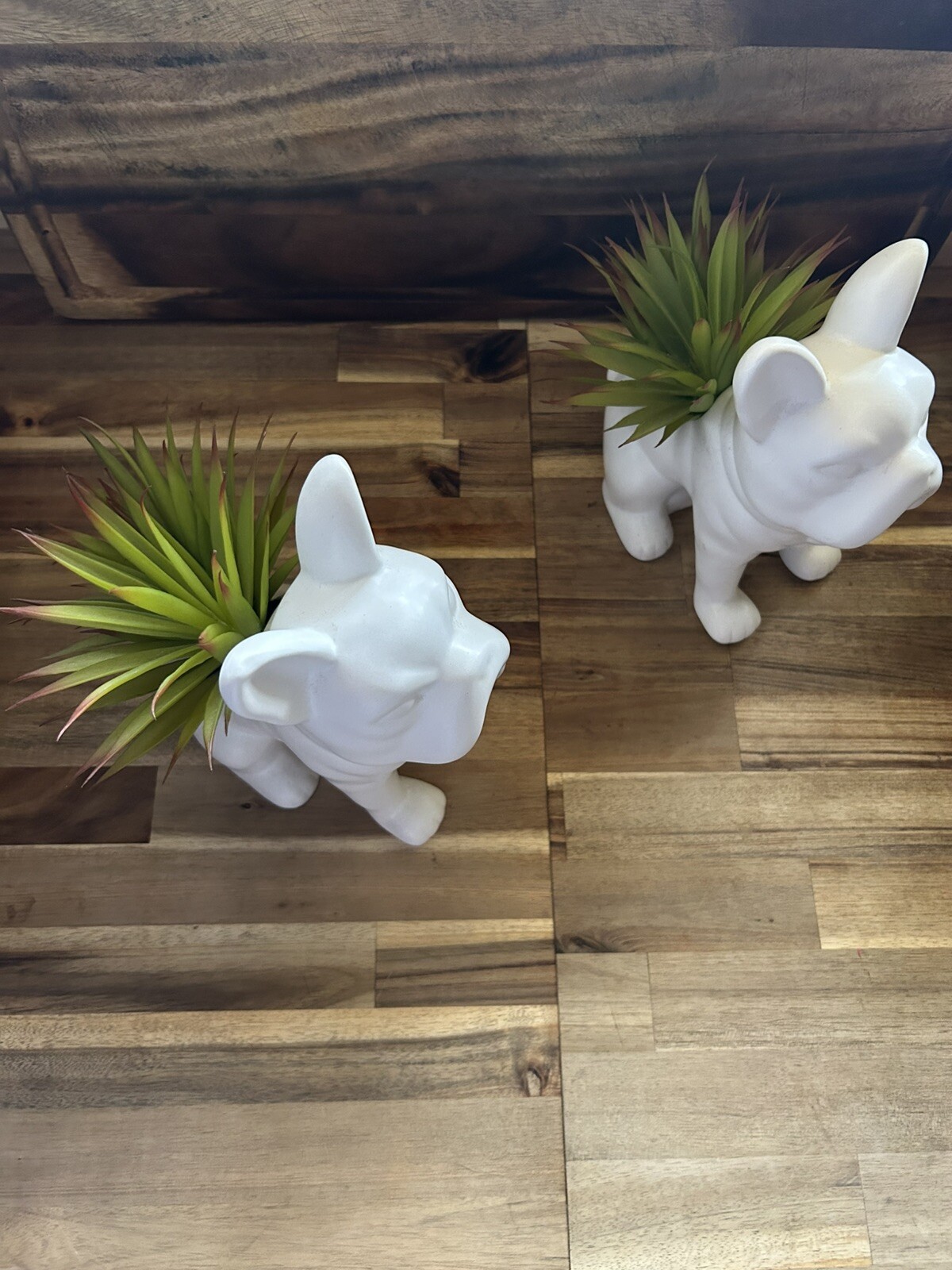 Lowe’s 21 7.5-in Green and White Indoor succulent Artificial Plant