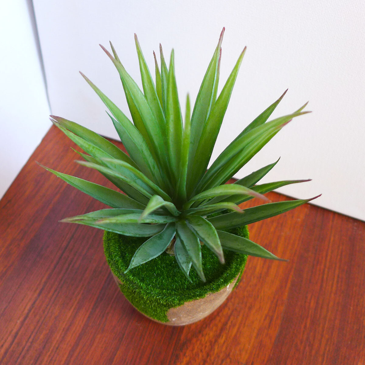 8″ Height Green Agave Potted Artificial Plant Succulents With Pot