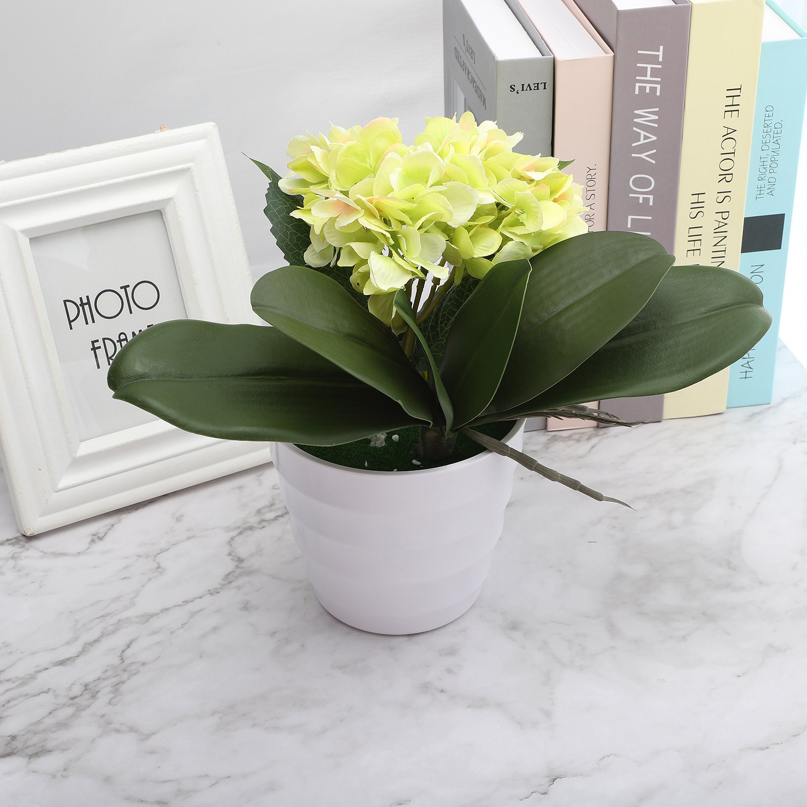 Eva Large 4 Pieces Of Phalaenopsis Leaves Orchid Leaves Wedding Home Decorati US