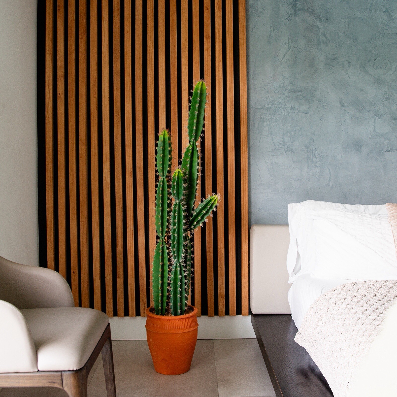 5’ Artificial Cactus in Terracotta Planter Home Decor. Retail $224