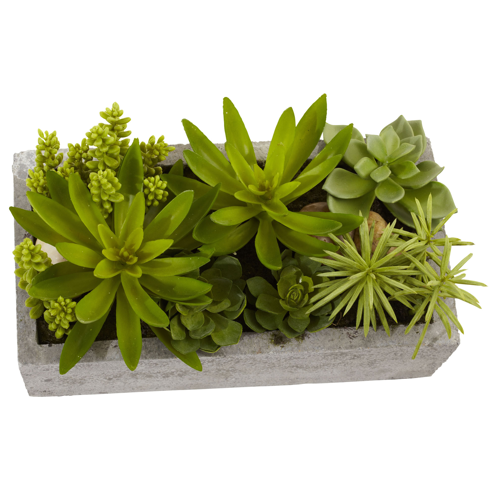 Succulent Garden Decorative Cement Concrete Planter Nearly Natural Home 6.5 inch