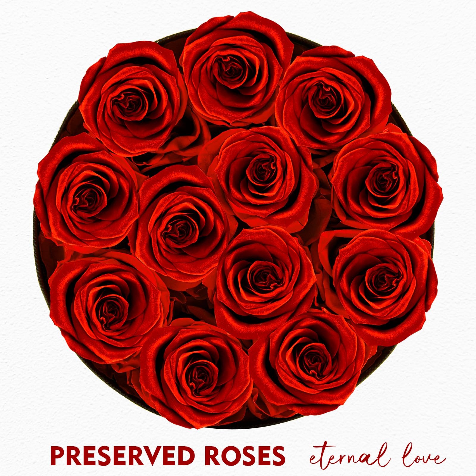 Forever Flowers12 Red Roses in A Box Real Preserved Roses Birthday Gift for W…