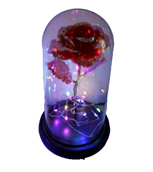 Red Eternal Rose w LED Lights in Glass Dome Mothers Valentines Anniversary Gift
