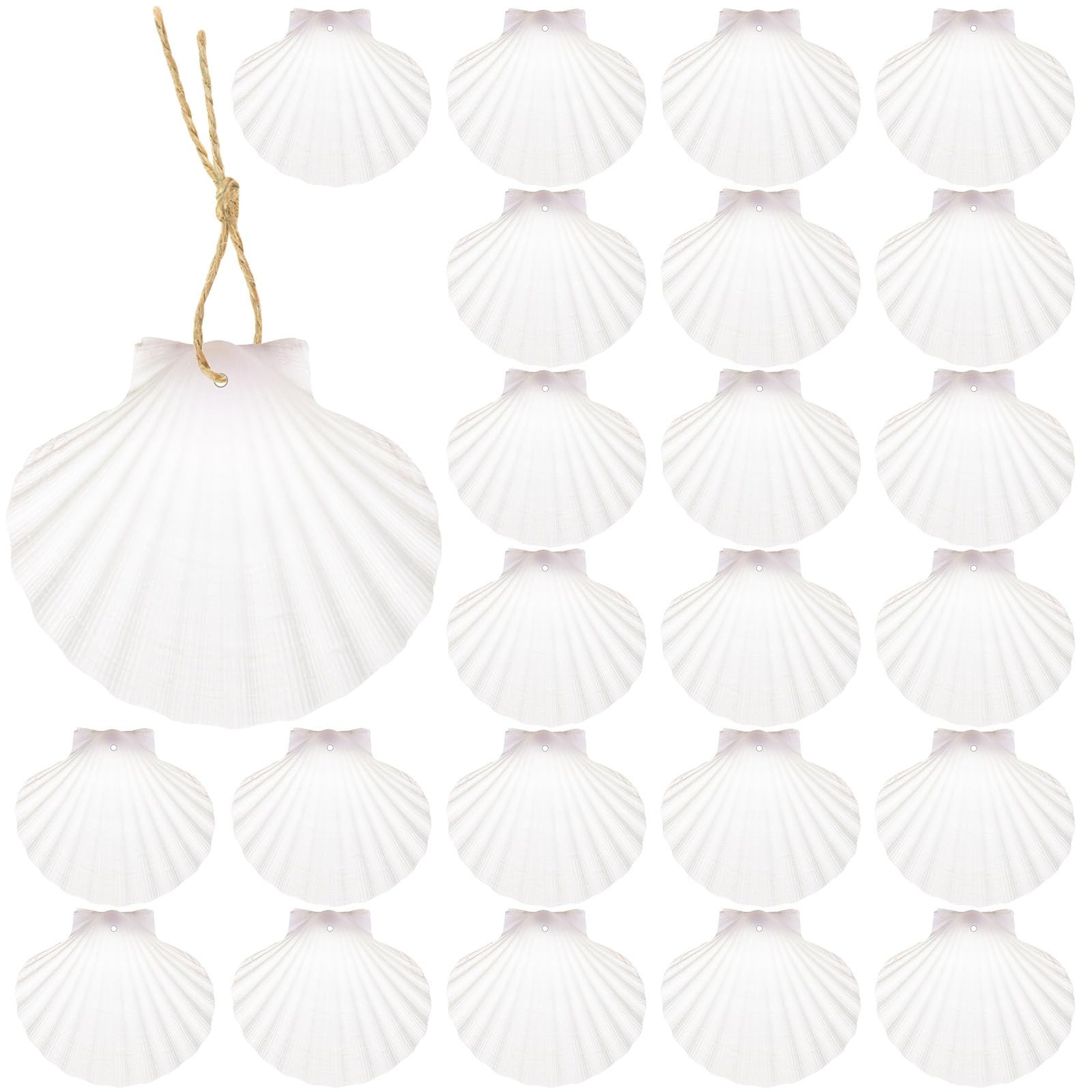 24 PCS 23 Inch Natural White Scallop Shells With Rope For Christmas Crafts