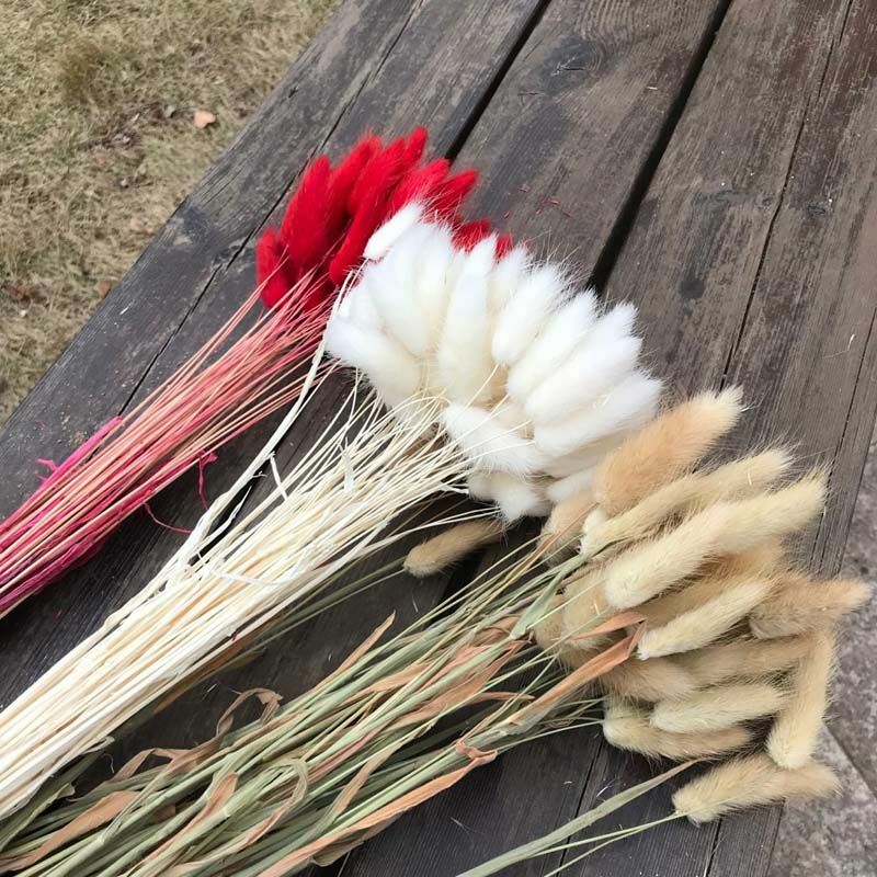 35-40CM 50PCS Dry Bunny Tail Grass Dried Natural Flower Rabbittail DIY Decor NEW