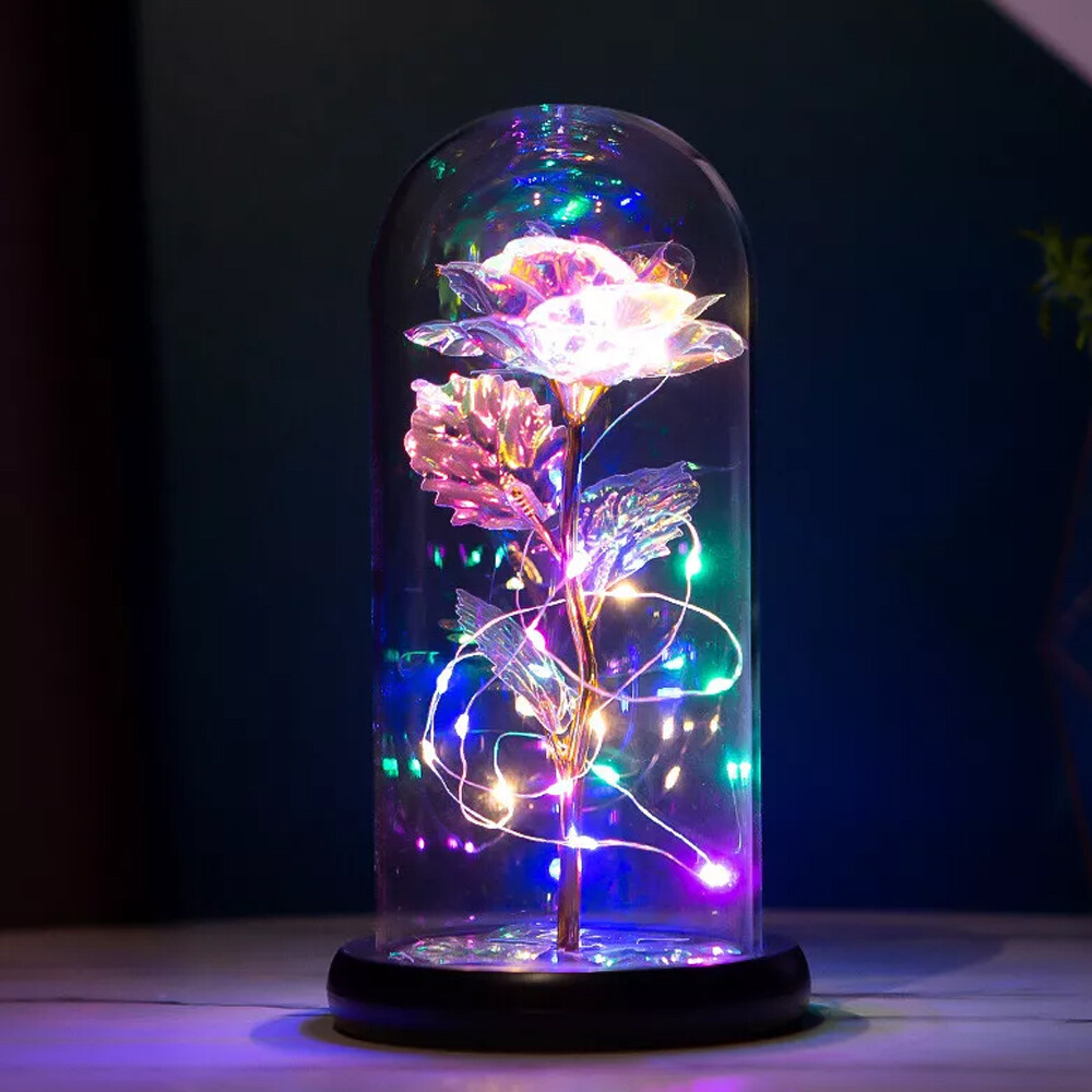 Preserved Forever Valentines Day Flower Gifts for Her Glass Light Up Rose Gifts