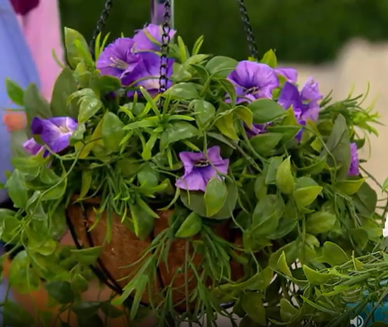Garden Reflections 14″ Faux Morning Glory Hanging Basket Choose Color M79797