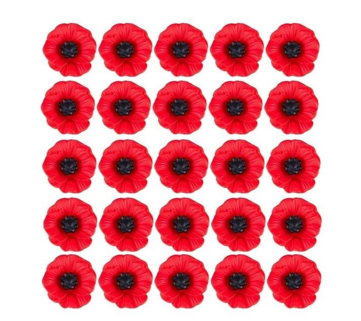 30 Pcs Red Resin Poppy Flowers Artificial Craft Poppies Charms Red Faux Flowe…