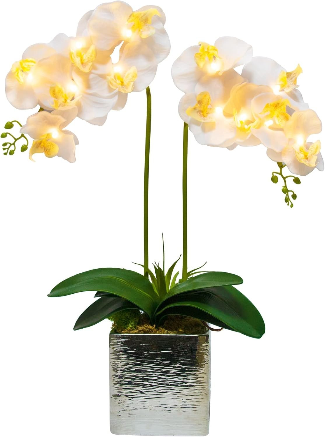 Pre Lit Artificial Orchid – Light Up Flower