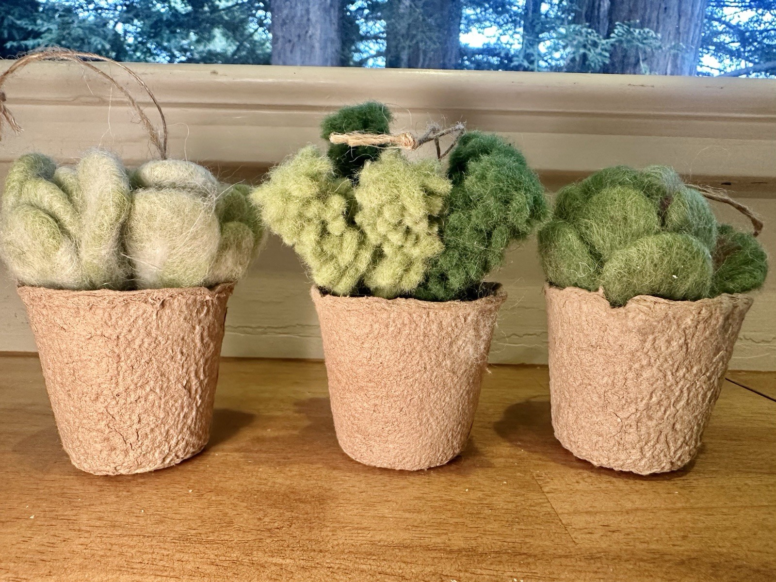 Felted Cactus Ornament Trio – Set of 3 Wool Potted Succulents
