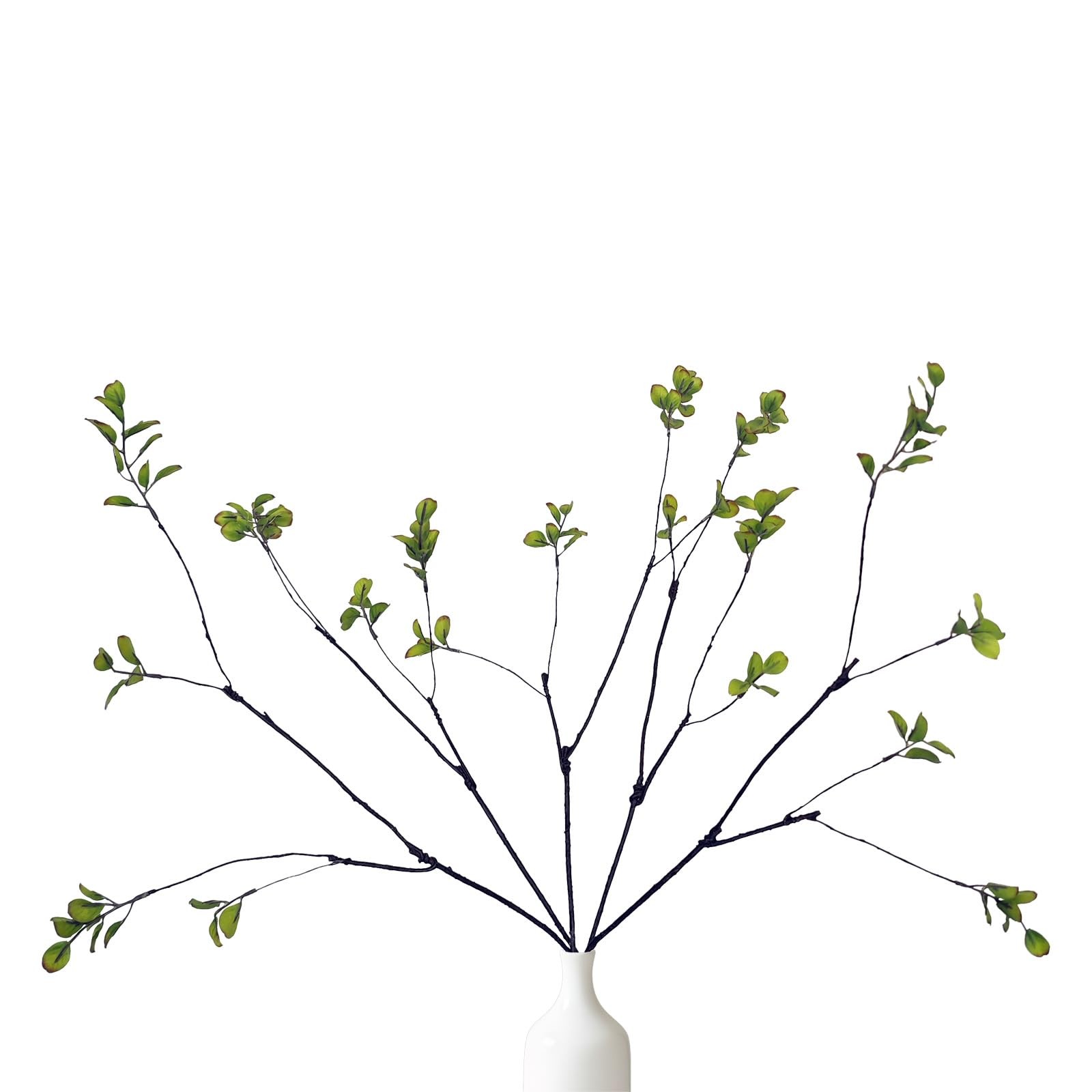 5 Pcs 22 Inches Greenery Stems for Vase, Faux Eucalyptus | Olive| Ficus Branc…