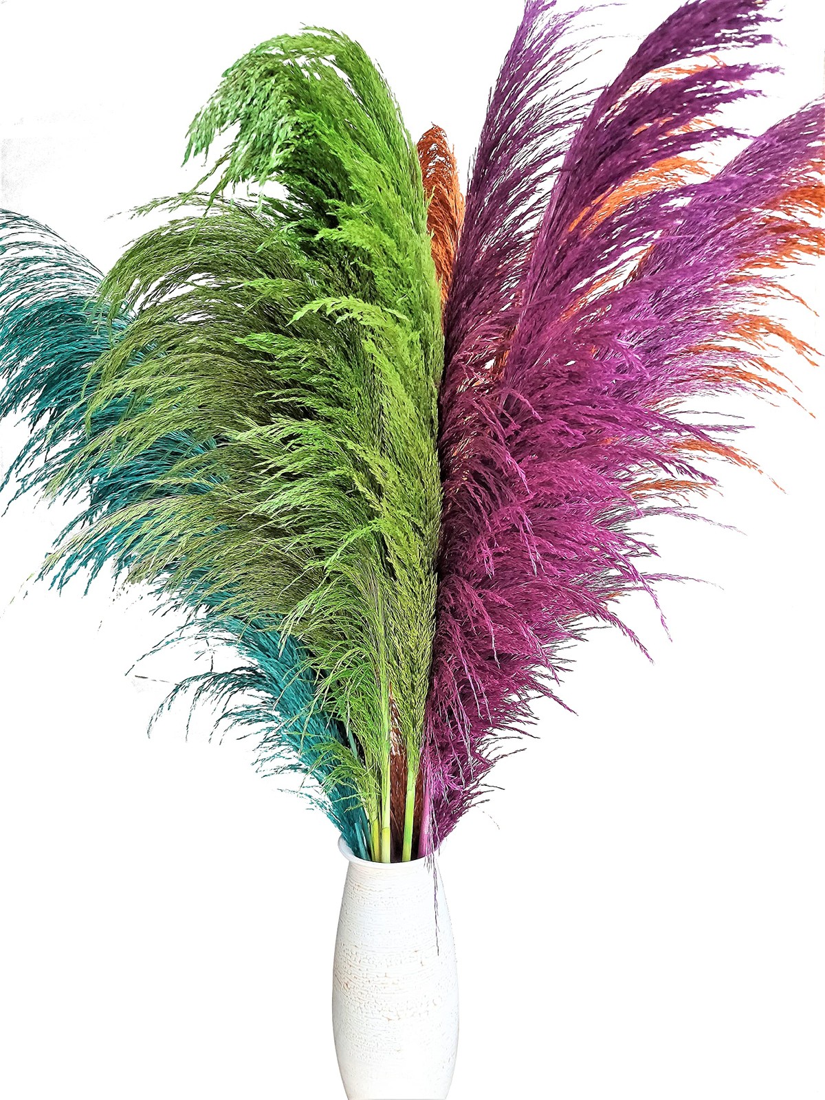 Green Pampas Grass Tall 8pcs 31.5″ Natural Colorful Pompas floral with Dried …