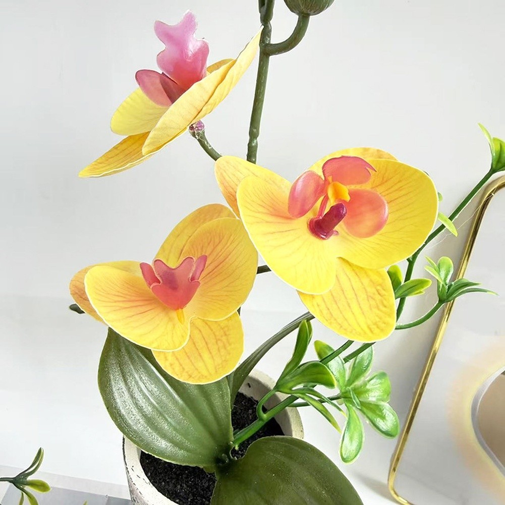 Realistic Artificial Butterfly Orchid Potted Plant 25.5cm for Wedding Decor