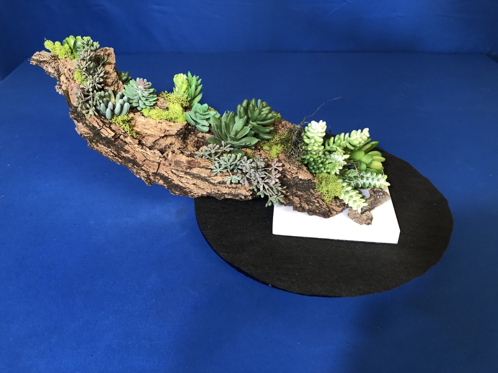 Artificial Succulent Air Plant Home Office Mounted on Real Wood Bark and Stone