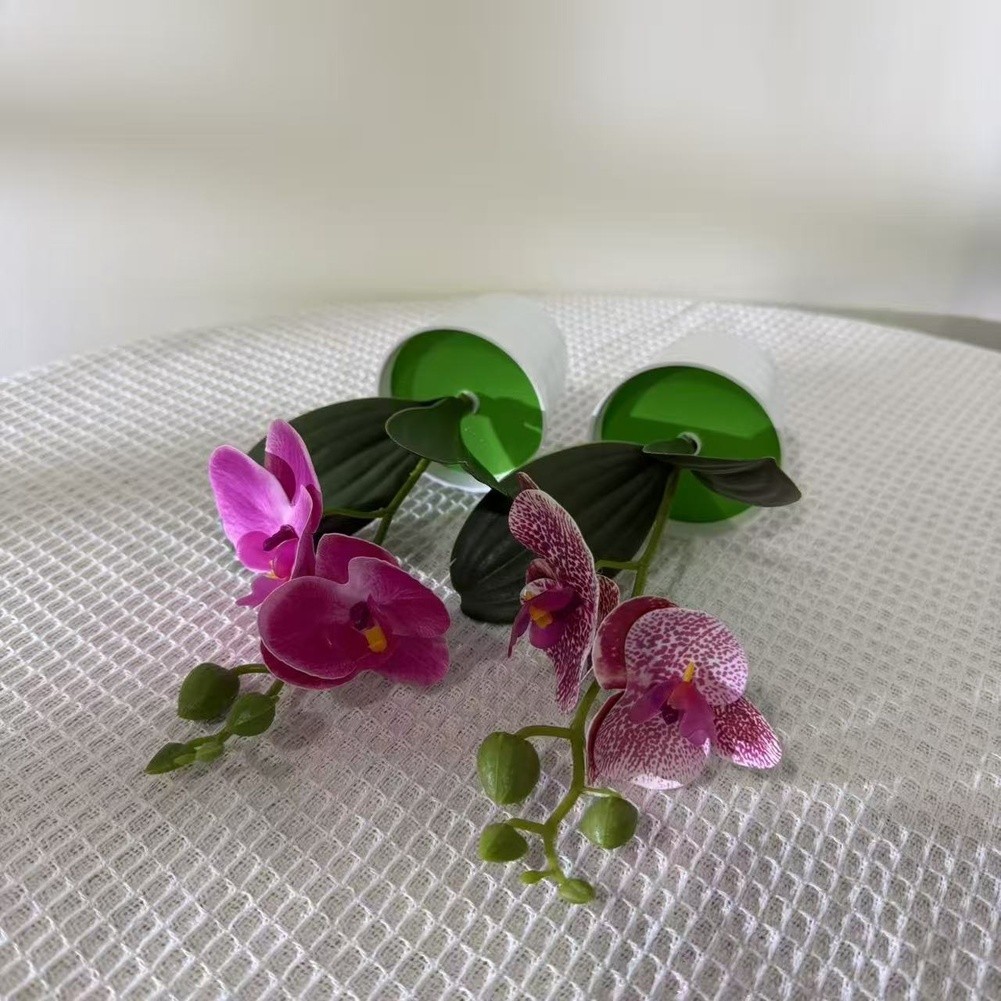 Fake Orchid Plant Phalaenopsis Type for Living Room Bedroom Study Decor Plastic