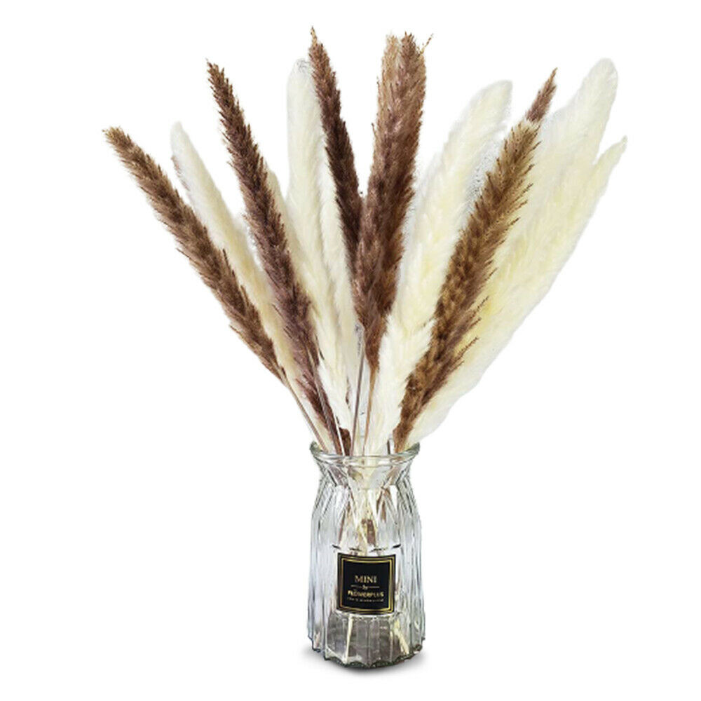 60PCS Natural Dried Pampas Grass Reed Flower Bunch Bouquets Home Wedding Decor