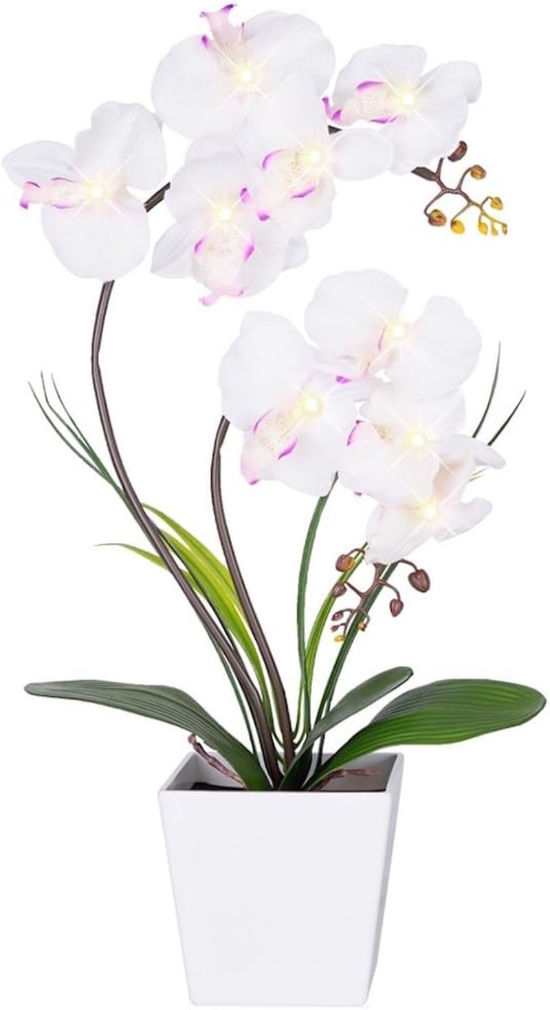 Homeseaons Orchid Lamp-Led Lighted Orchid Arrangements,Pre Lit Artificial Orchid